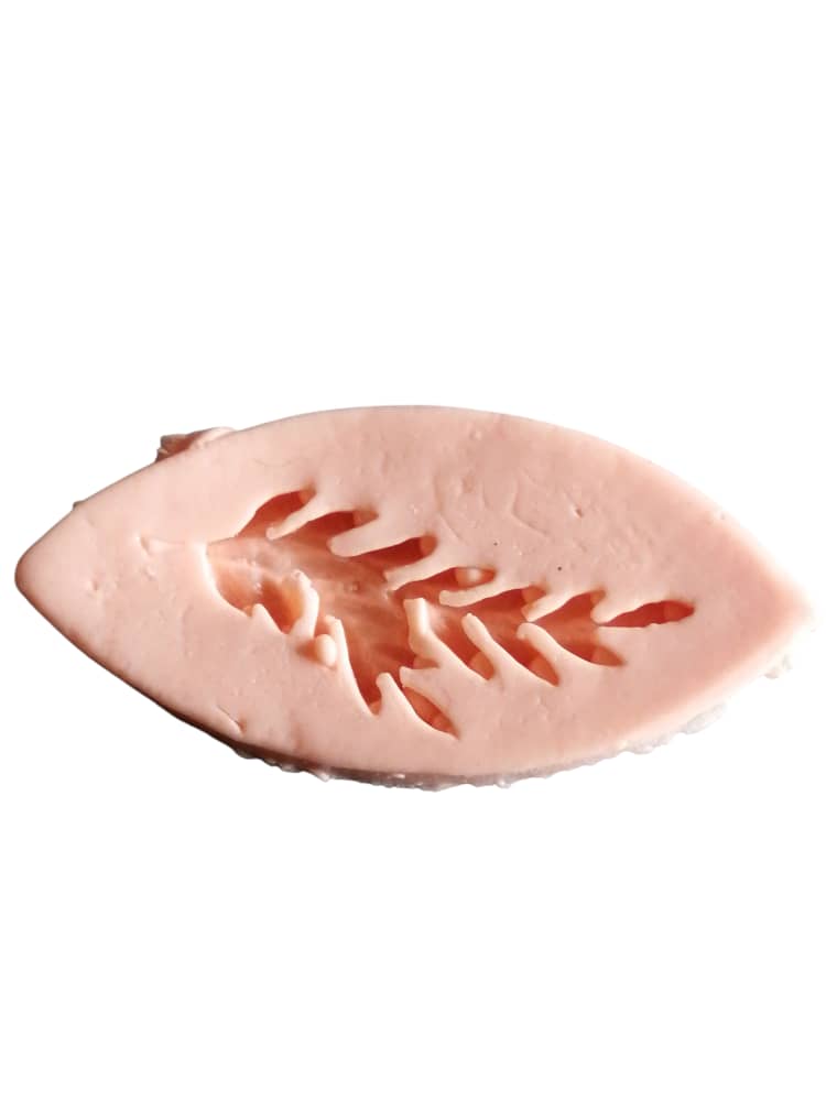 Moule Modelage en Silicone en Forme de Plume