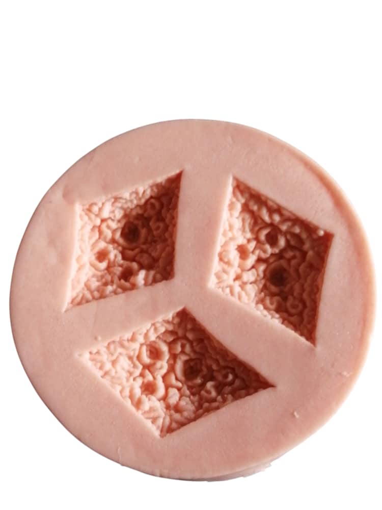 Moule Modelage en Silicone